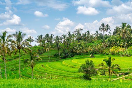 JATILUWIH AND TANAH LOT TOUR