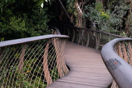 TREETOP ADVENTURE PARK TOUR